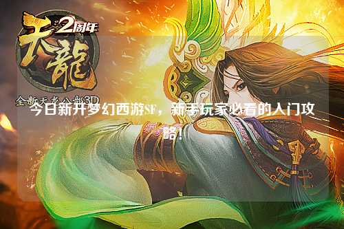 今日新开梦幻西游SF，新手玩家必看的入门攻略！